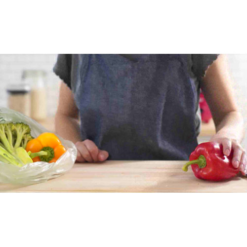 Dash 2 Cup Mini Rice Cooker & Reviews Wayfair